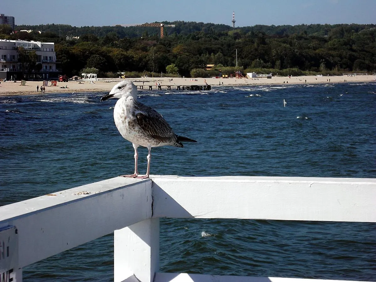 Lägenhet Sopot Apartamenty Bema 6